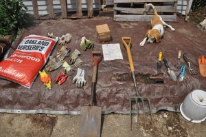 Ready for the troops to roll in.