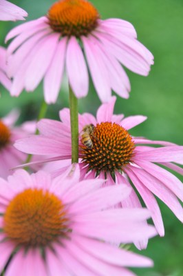 And, of course, the busy were as busy as we were.