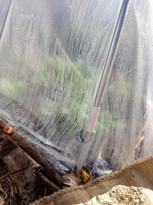 A corner of the tunnel. Note the moisture dripping down the sides!