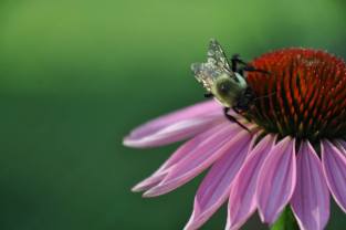 28661040_1968924223368050_6376546818326528000_n