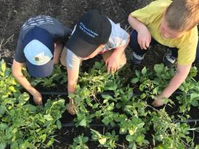 31967908_1998542027072936_3307558940329377792_n